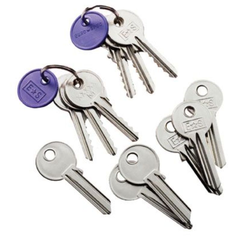 Carlisle Brass 5 PIN ES STOCK SUITE MASTER KEY