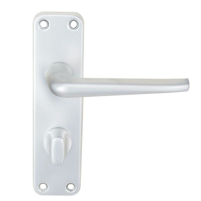 Carlisle Brass Aluminium Lever on WC Backplate