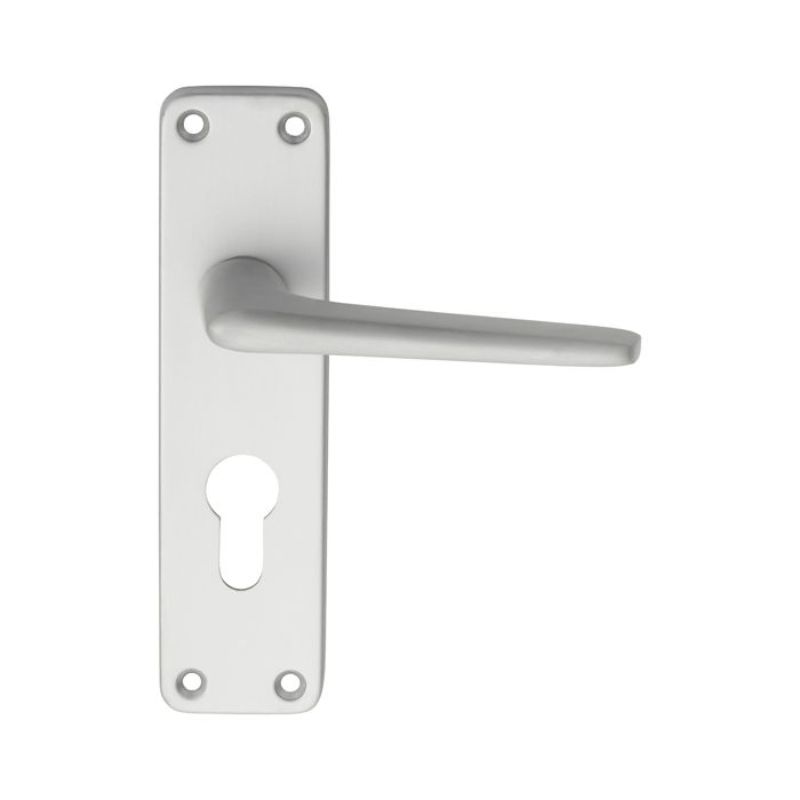 Carlisle Brass Aluminium Lever on Euro Lock Backplate