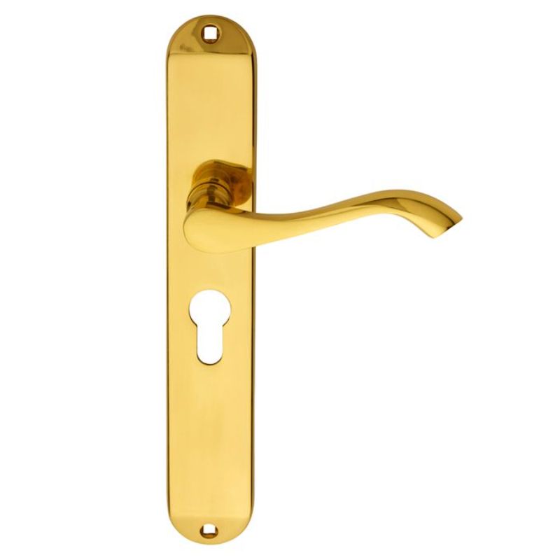 Carlisle Brass Andros Lever on Euro Lock Long Backplate