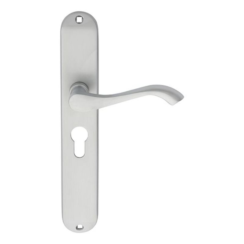 Carlisle Brass Andros Lever on Euro Lock Long Backplate