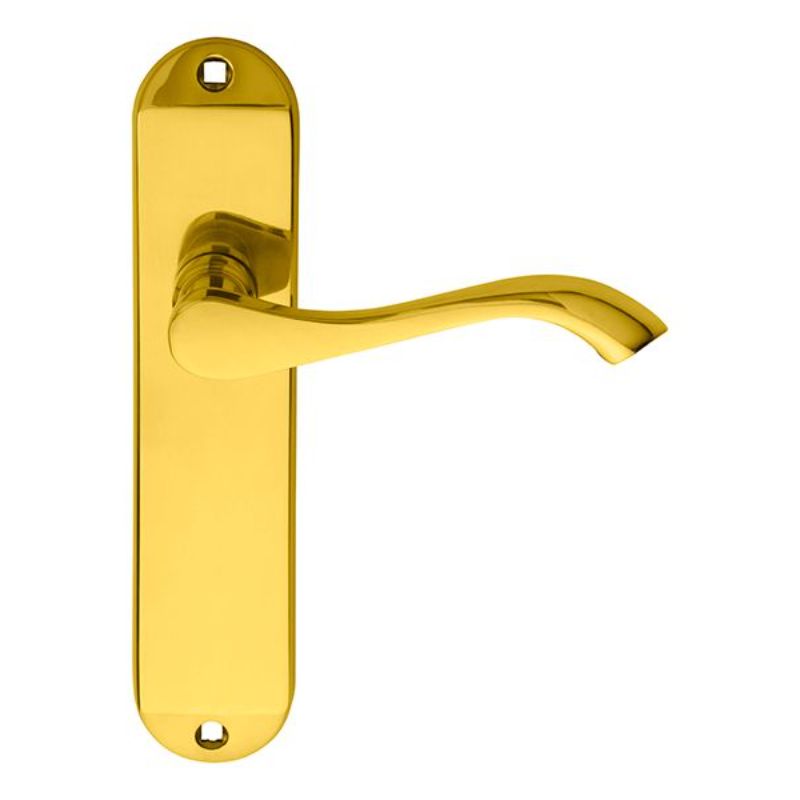 Carlisle Brass Andros Lever on Latch Backplate