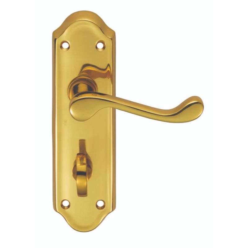 Carlisle Brass Ashtead Lever on WC Backplate