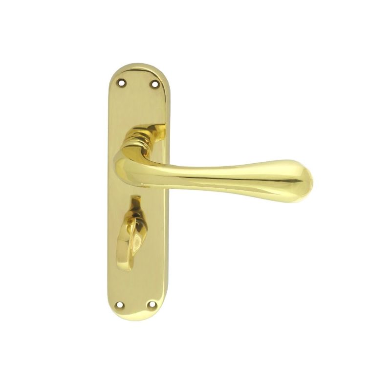 Carlisle Brass Astro Lever on WC Backplate