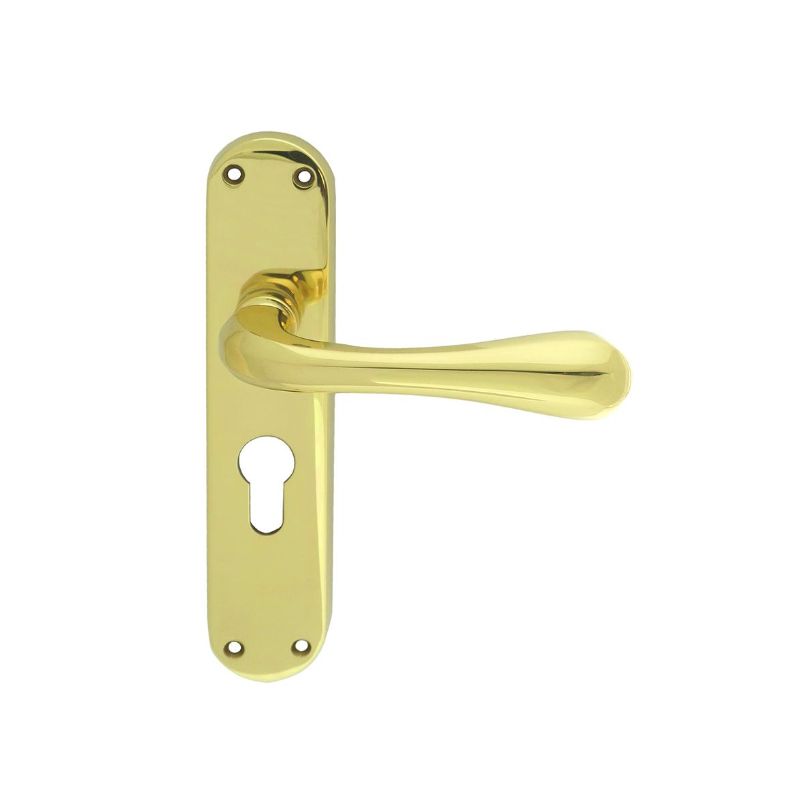 Carlisle Brass Astro Lever on Euro Lock Backplate