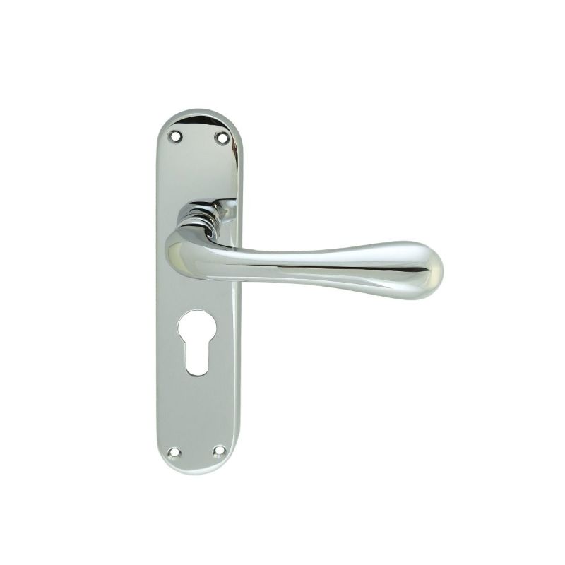 Carlisle Brass Astro Lever on Euro Lock Backplate