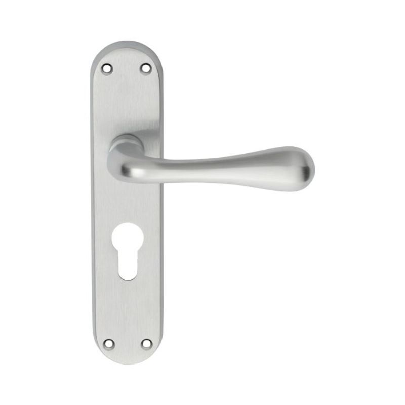 Carlisle Brass Astro Lever on Euro Lock Backplate