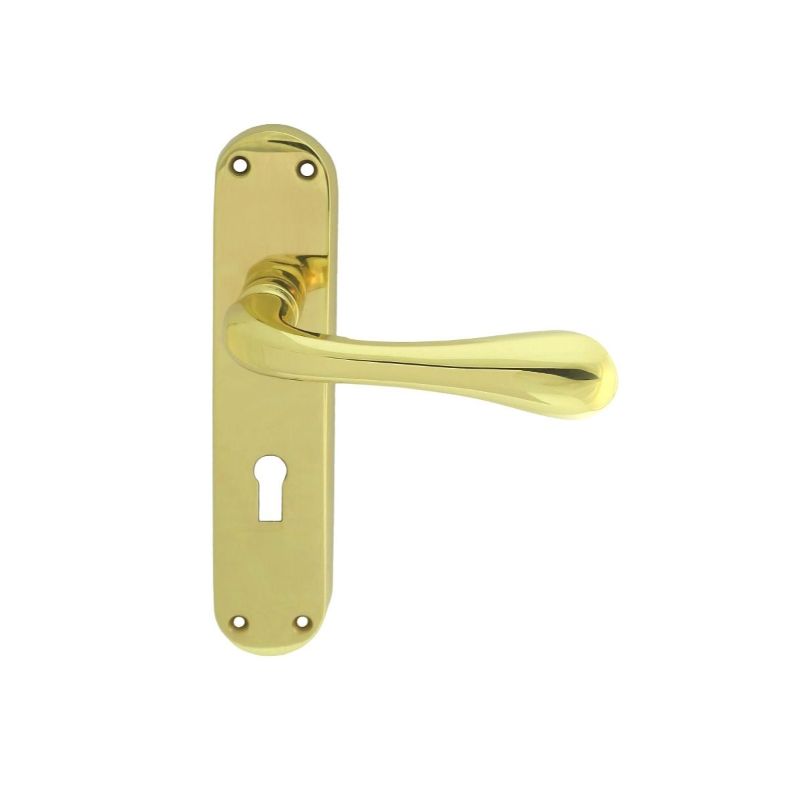 Carlisle Brass Astro Lever on Lock Backplate