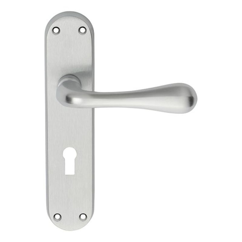 Carlisle Brass Astro Lever on Lock Backplate