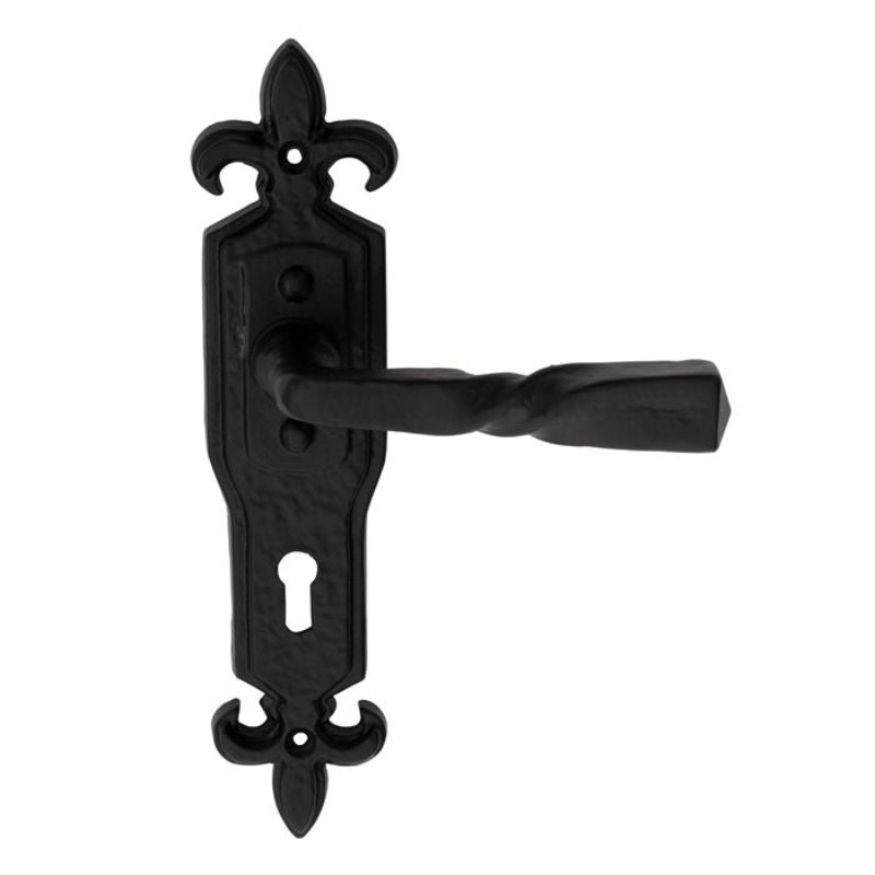 Carlisle Brass Barley Twist Lever on Gothic Lock Backplate