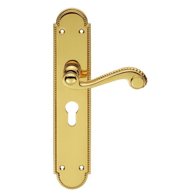 Carlisle Brass Chesham Lever on Euro Lock Long Backplate