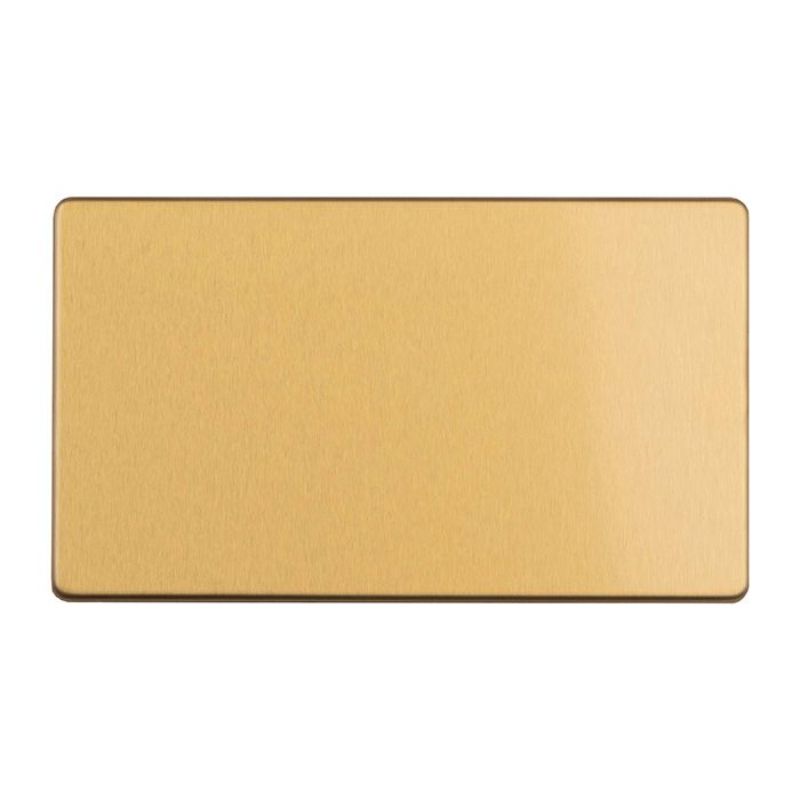 Carlisle Brass 2 Gang Double Blank Plate