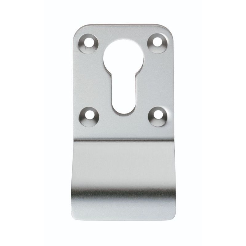 Carlisle Brass Cylinder Pull Euro profile