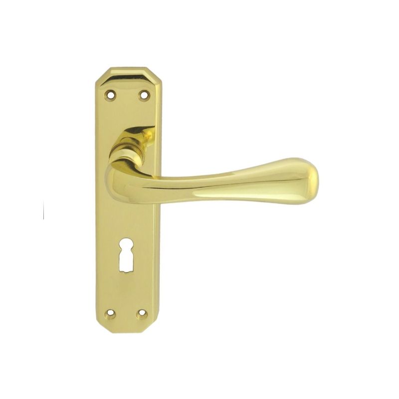 Carlisle Brass Eden Lever on Lock Backplate