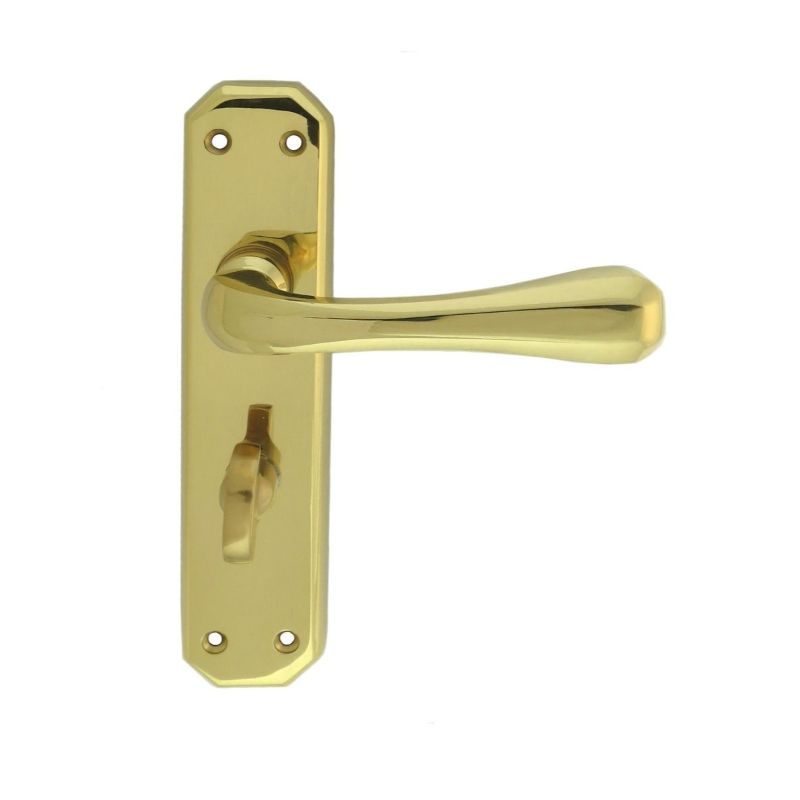 Carlisle Brass Eden Lever on WC Backplate