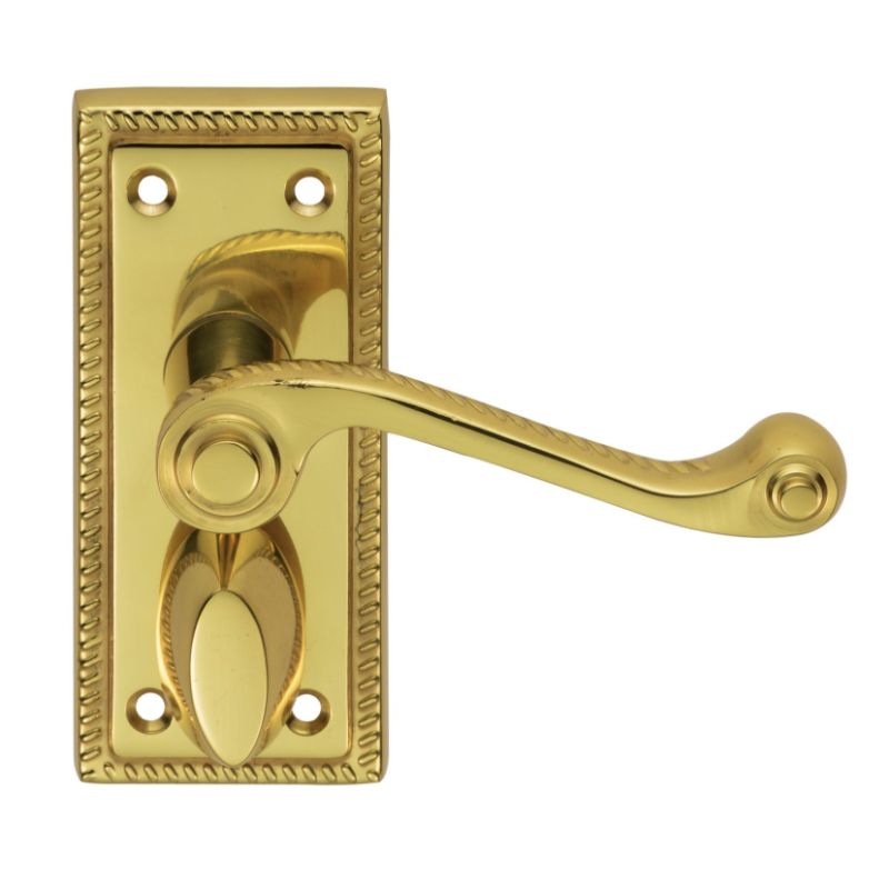 Carlisle Brass Georgian Lever on Privacy Backplate