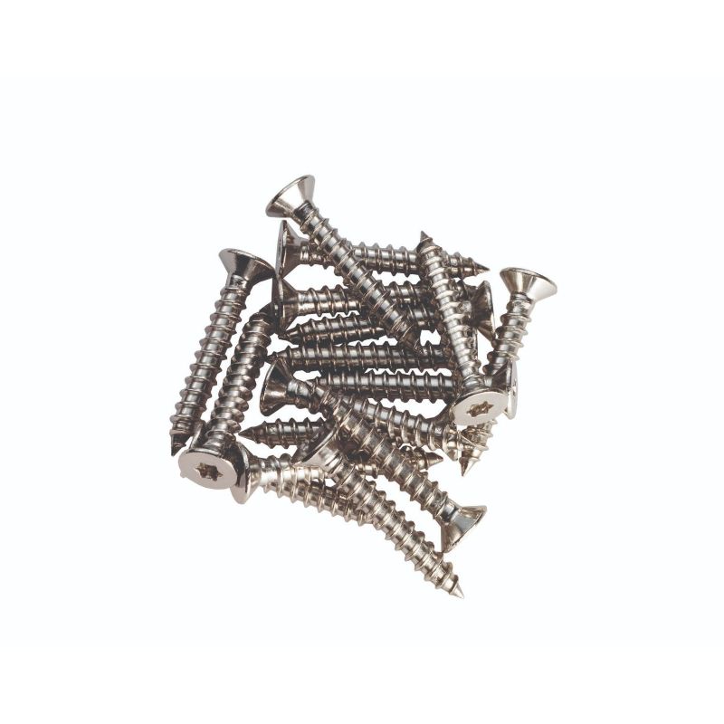 Carlisle Brass Hinge Metal Pack (16) M6 x 16mm Small Head PZ2