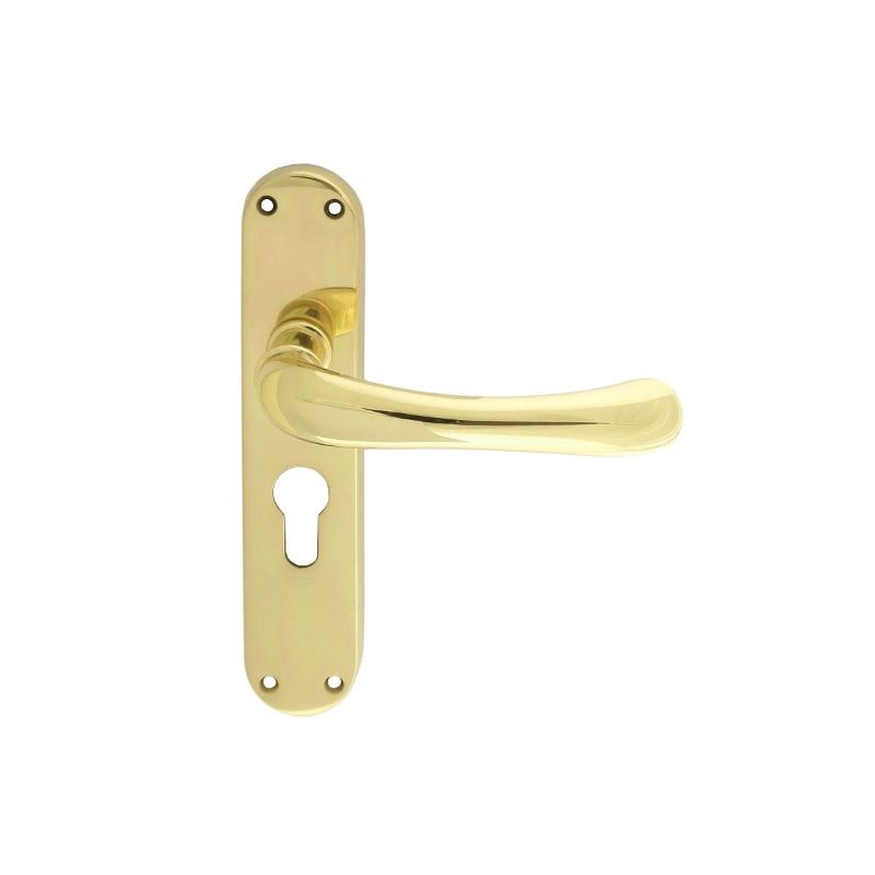 Carlisle Brass Ibra Lever on Euro Lock Backplate