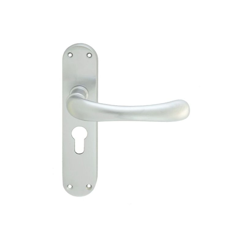 Carlisle Brass Ibra Lever on Euro Lock Backplate