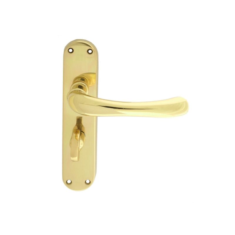 Carlisle Brass Ibra Lever on WC Backplate