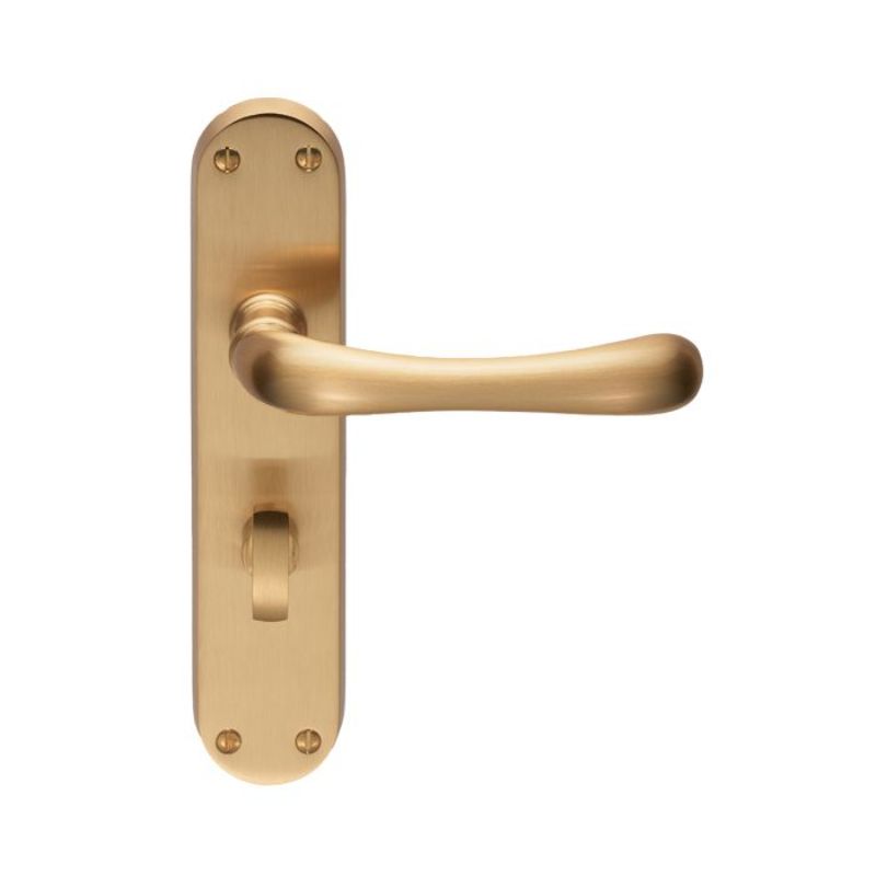 Carlisle Brass Ibra Lever on WC Backplate