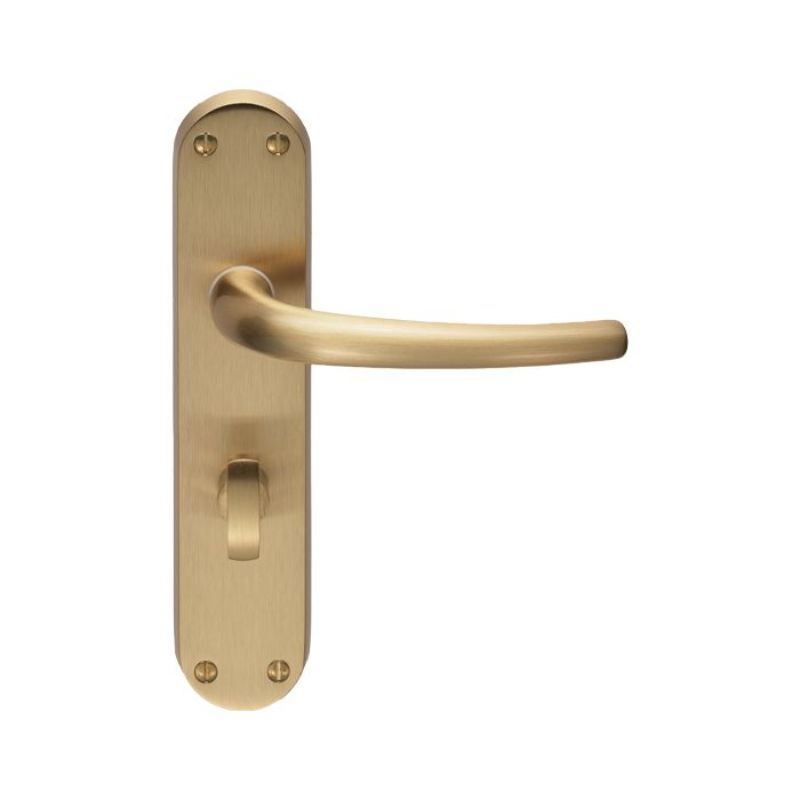 Carlisle Brass Lilla Lever on WC Backplate