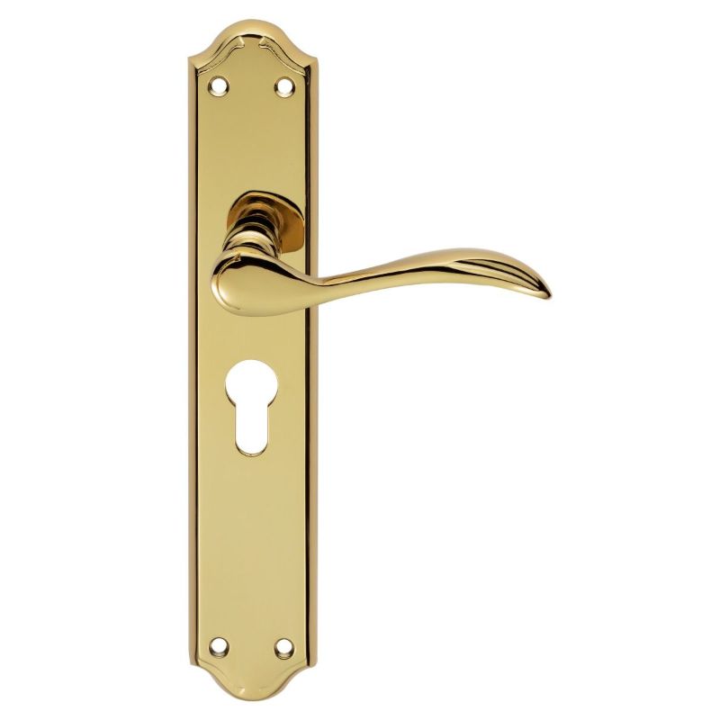 Carlisle Brass Madrid Lever on Euro Lock Long Backplate