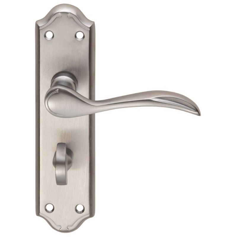 Carlisle Brass Madrid Lever on WC Backplate