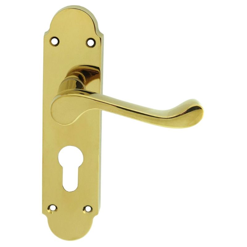 Carlisle Brass Oakley Lever on Euro Lock Backplate