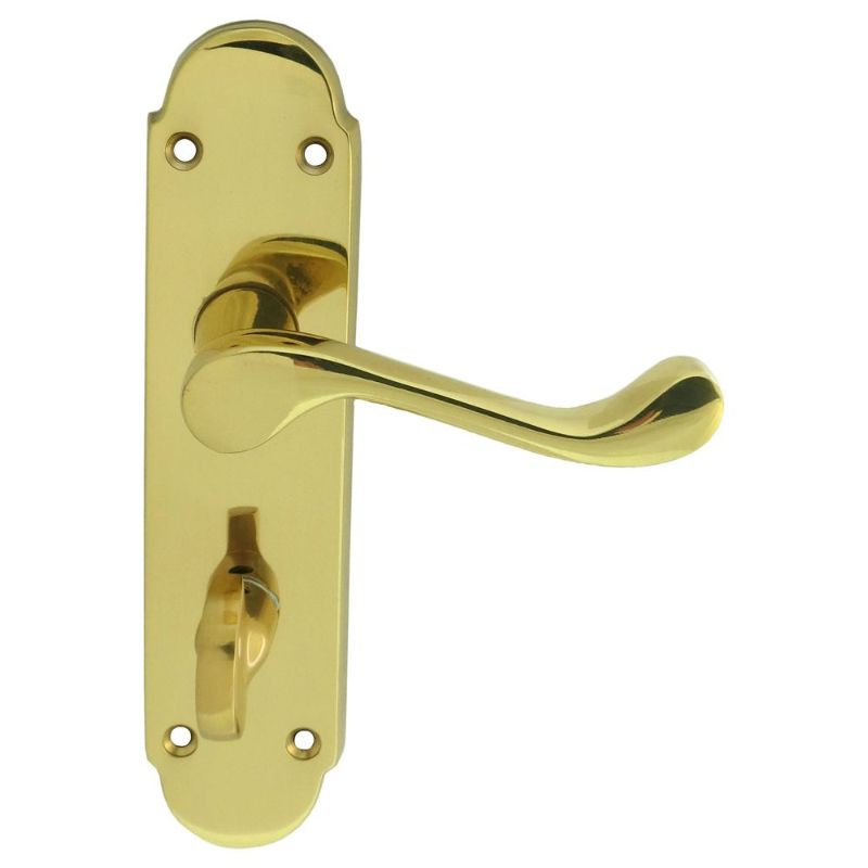 Carlisle Brass Oakley Lever on WC Backplate