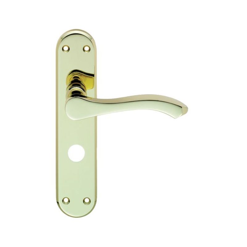 Carlisle Brass SEROZZETTA IXION LEVER ON WC BATHROOM BACKPLATE