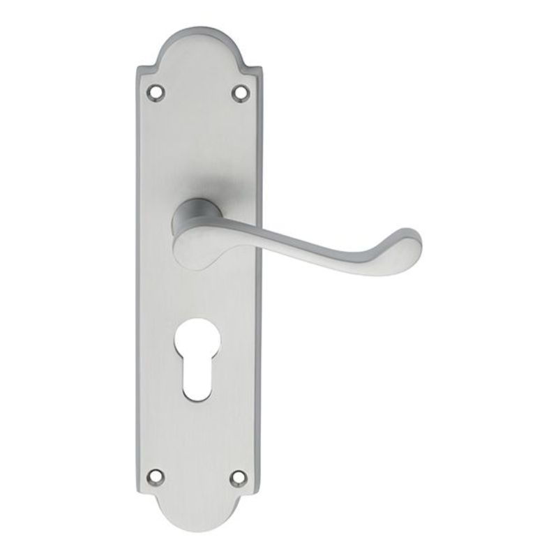 Carlisle Brass Victorian Scroll Lever on Shaped Euro Lock Backplate