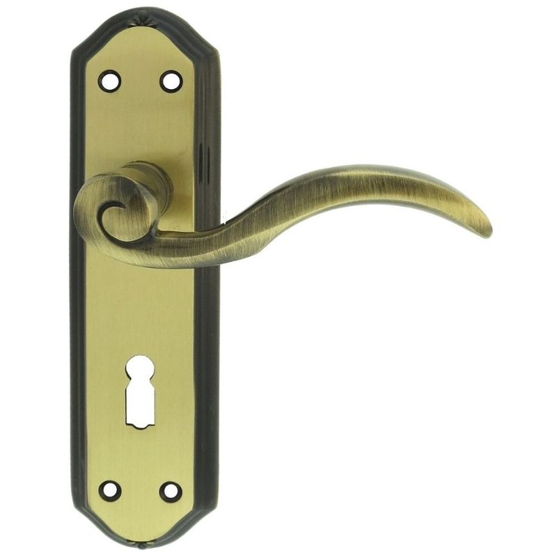 Carlisle Brass Wentworth Lever on Lock Backplate