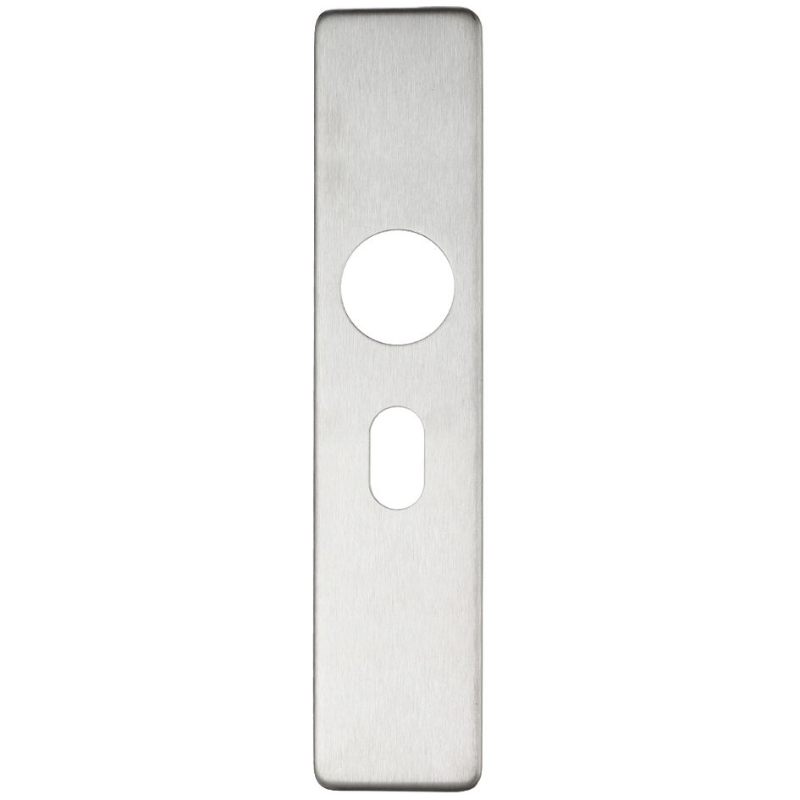 Cover plate for 19 mm and 22mm RTD Lever on Backplate - Oval Profile 48.5mm-Satin Stainless
