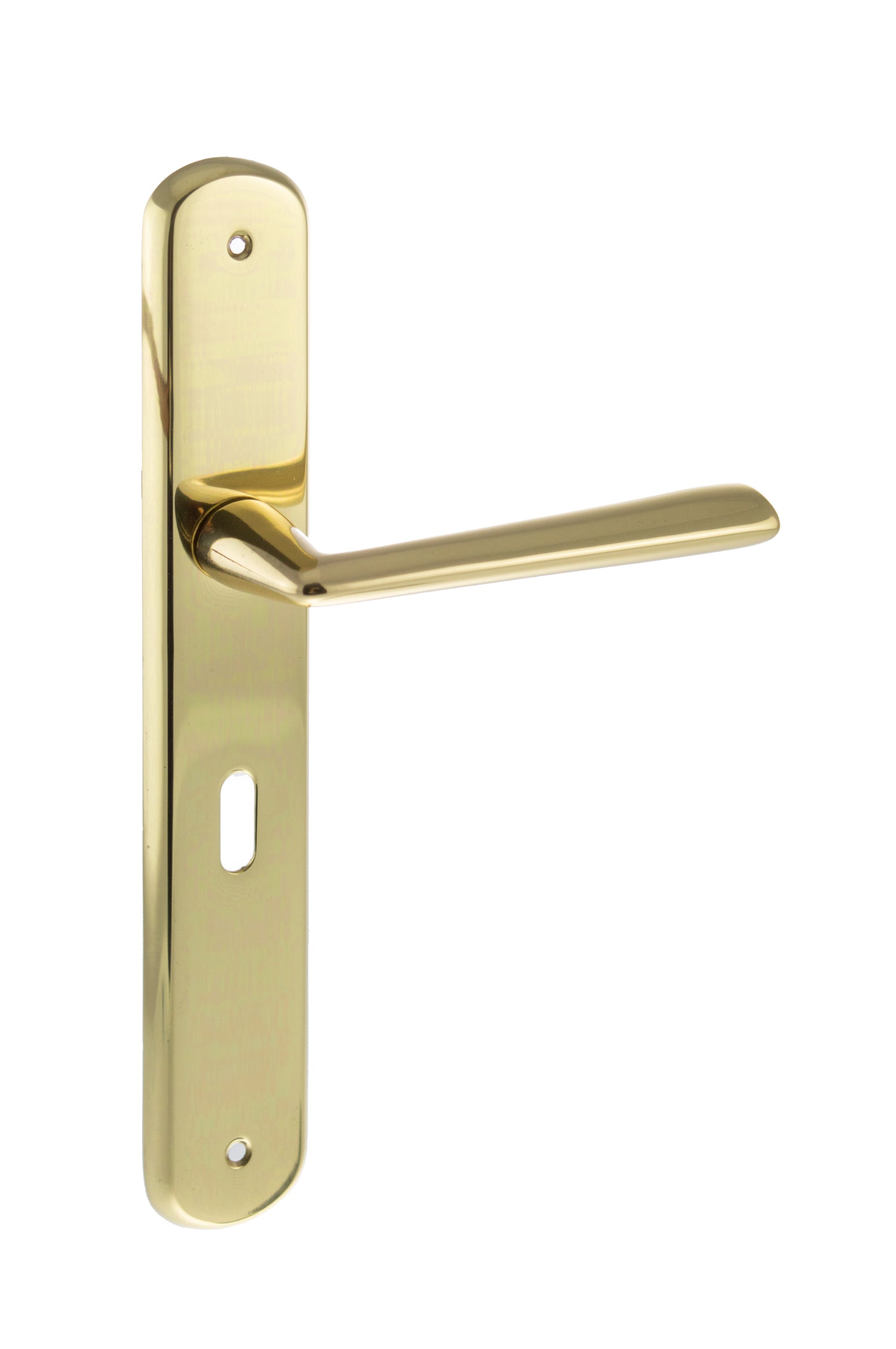 Forme Brigette Solid Brass Key Lever on Backplate - Polished Brass