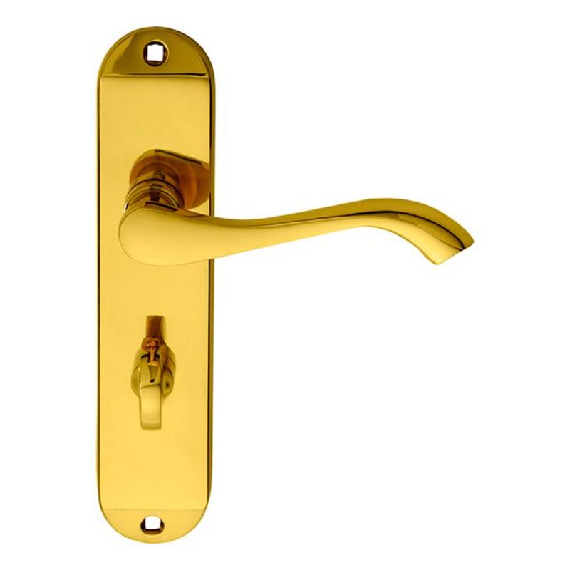 Carlisle Brass Andros Lever on WC Backplate