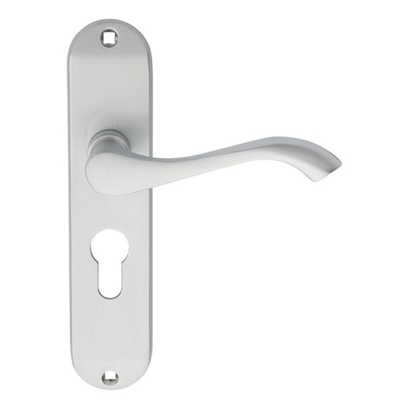 Carlisle Brass Andros Lever on Euro Lock Backplate