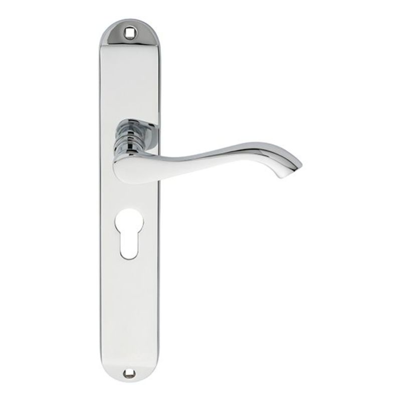 Carlisle Brass Andros Lever on Euro Lock Long Backplate