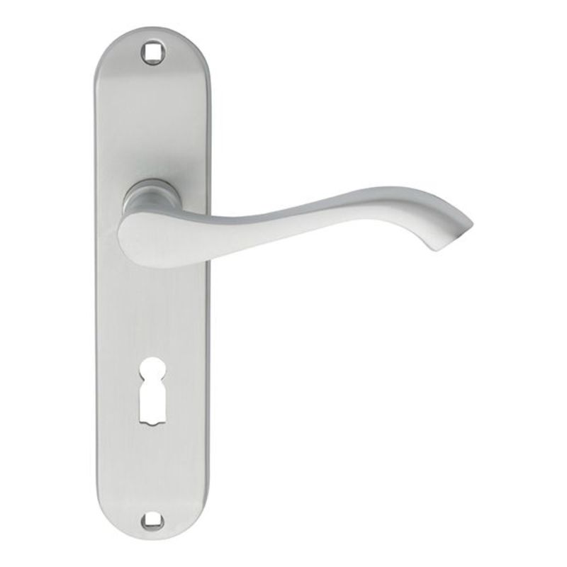 Carlisle Brass Andros Lever on Lock Backplate