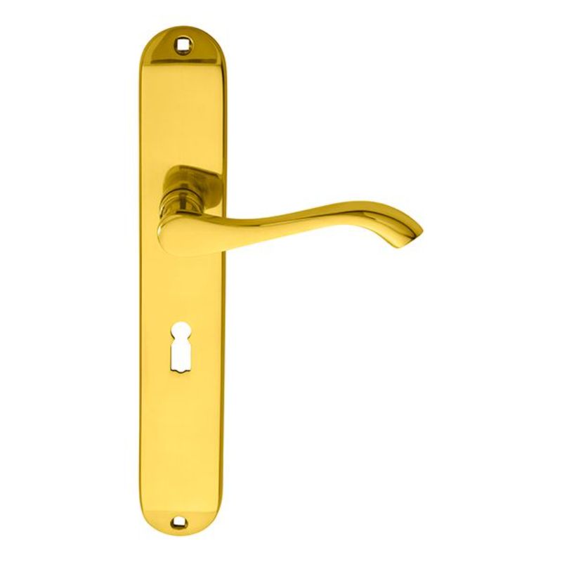 Carlisle Brass Andros Lever on Long Lock Backplate