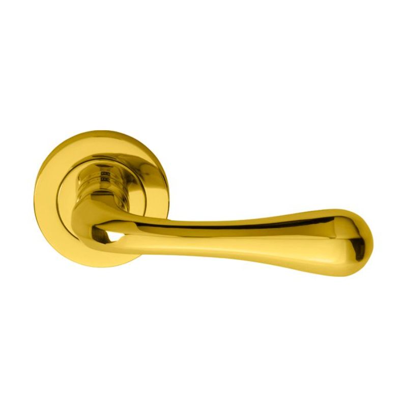Carlisle Brass Astro Lever on Round Rose in Polished Brass