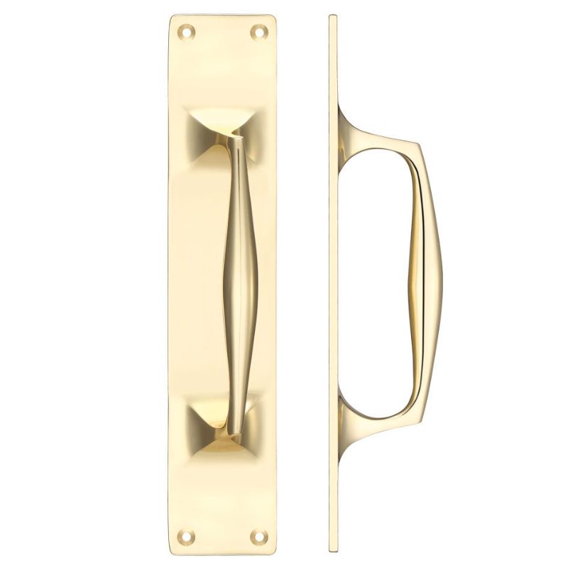 Cast Brass Pull Handle with Backplate - 300 x 60mm-Polished Brass