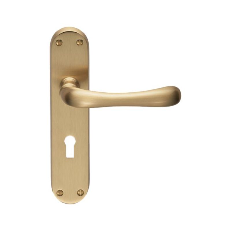 Carlisle Brass Ibra Lever on Lock Backplate