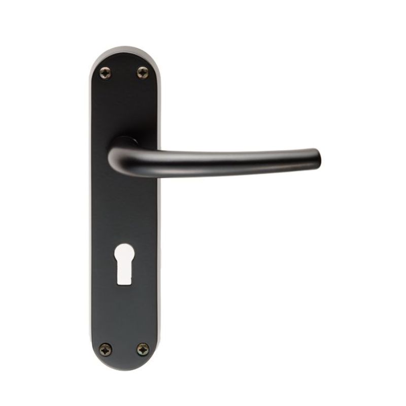 Carlisle Brass Lilla Lever on Lock Backplate