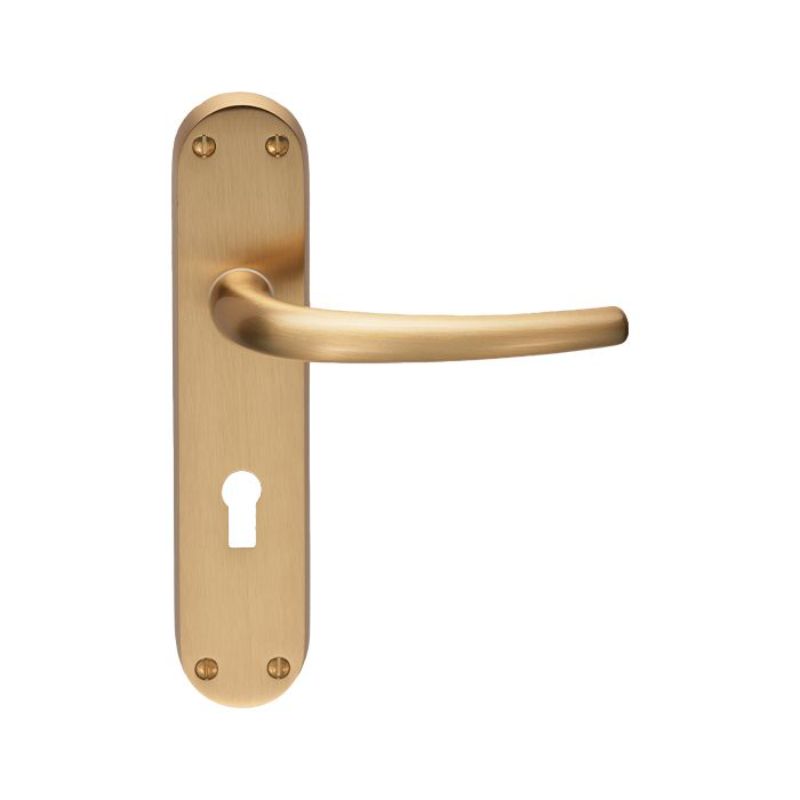 Carlisle Brass Lilla Lever on Lock Backplate