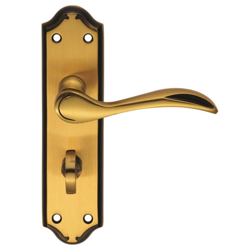 Carlisle Brass Madrid Lever on WC Backplate