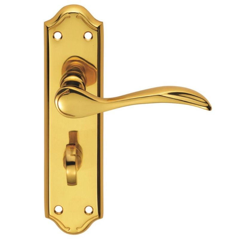 Carlisle Brass Madrid Lever on WC Backplate