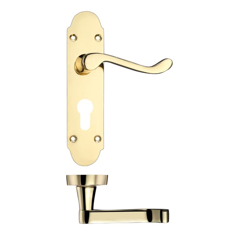 Project Oxford Lever on Europrofile Lock Backplate - 168mm x 42mm-Electro Brass