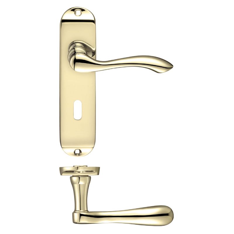 Project Arundel Lever on Lock Backplate - 180mm x 40mm-Electro Brass