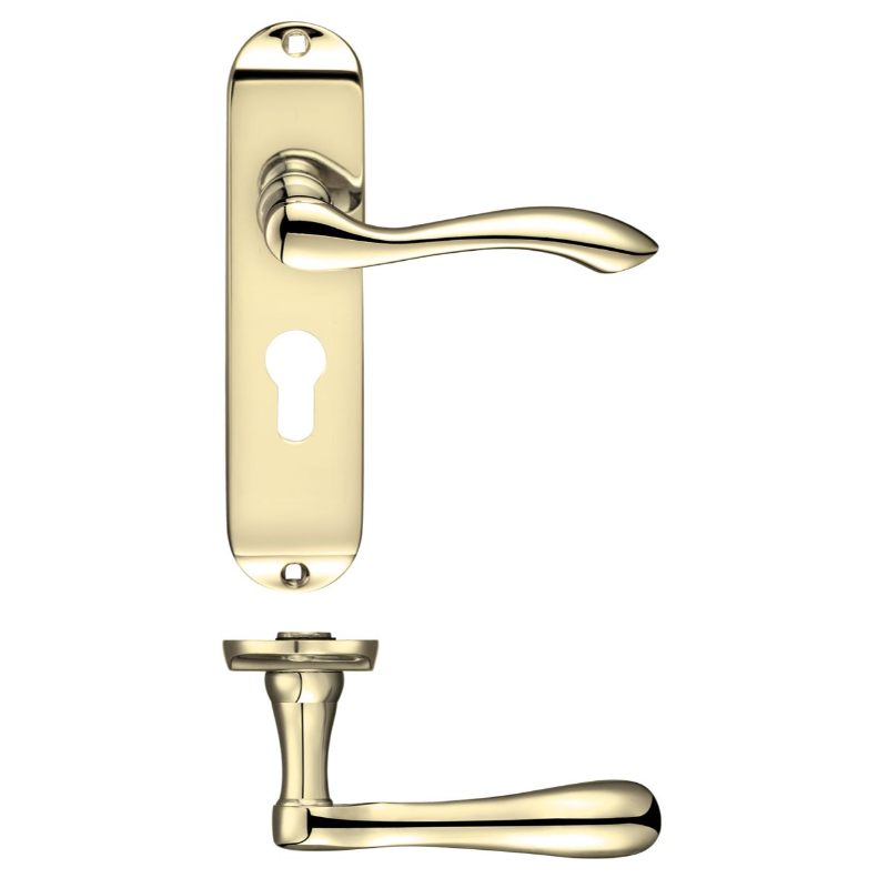 Project Arundel Lever on Europrofile Lock Backplate - 180mm x 40mm-Electro Brass